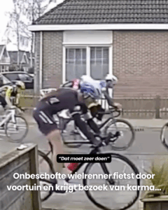 Heerlijk op zijn snufferd..