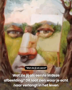 Wat zie jij als eerste..