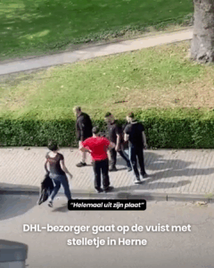 DHL-bezorger gaat op de vuist met stelletje
