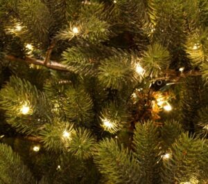 Dit kost 30 dagen kerstverlichting in je boom aan elektriciteit