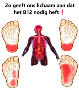 Zo geeft ons lichaam aan dat het B12 nodig heeft