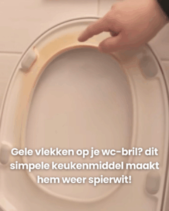 Toiletbril vergeeld? Met deze huismiddeltjes wordt hij weer spierwit