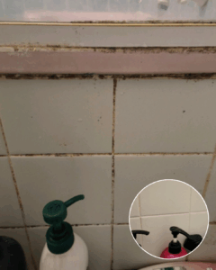 De 5 fouten maakt iedereen bij het schoonmaken van de douche..