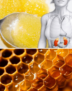 Eet elke avond een lepel honing en kijk wat er met je lichaam gebeurt!