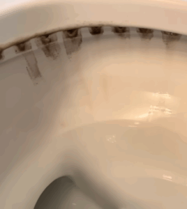 Hardnekkige bruine vlekken onder de toiletrand? Zó raak je ze écht kwijt