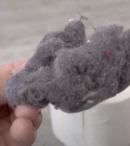 Ze stop de pluisjes van het filter uit de droger in een lege-wc rol. Meteen proberen!