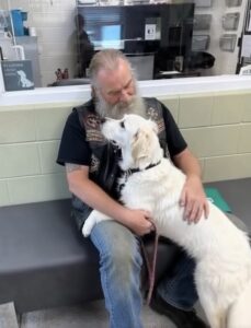 Onder de brug klonk zacht gejank. Toen hij beter keek, zag hij een vastgebonden Golden Retriever met een briefje aan haar halsband.